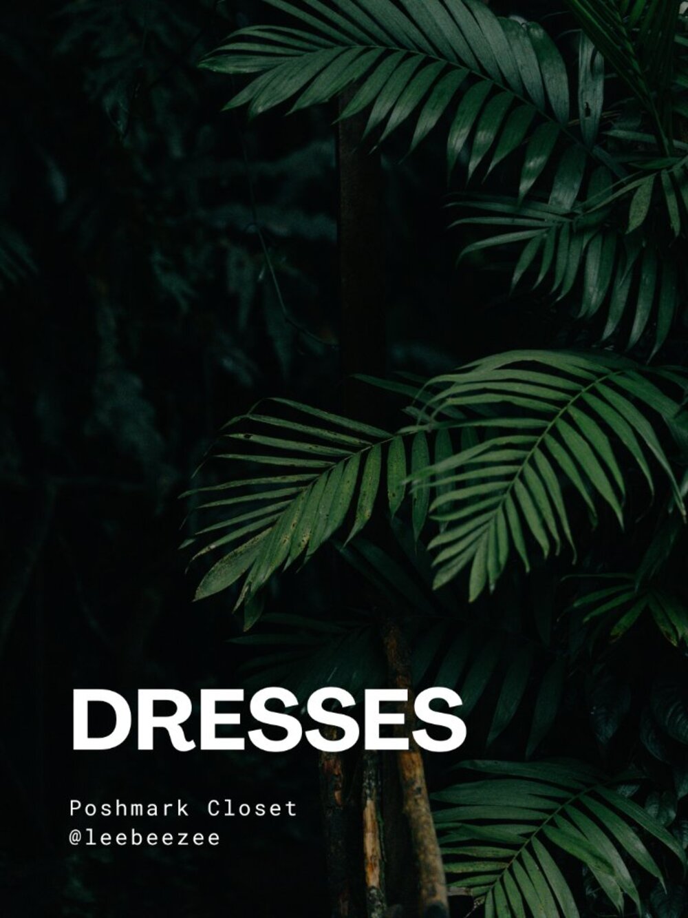 SHOP DRESSES!